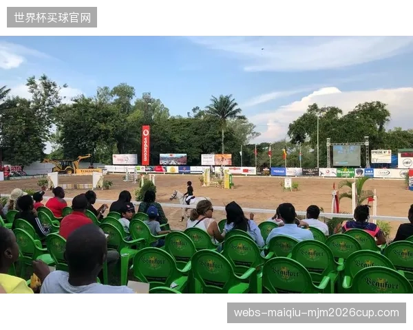 球迷的狂热支持是民主刚果队的一大优势，金沙萨主场的山呼海啸将给任何来访球队巨大压力。