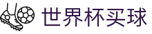 FIFA 2026世界杯（中国）买球官方网站 · 世界杯最佳赔率与滚球盘口